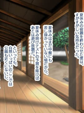 (同人CG集) [親子丼 (貞五郎)] 若妻&女子〇生の年上美人なハーフサキュバス姉妹にたっぷり甘々に搾られるぼくの淫らな夏休み_384_b_383