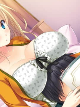 [CandySoft] あねよめコンチェルト Wedding Memories 初回版_HG021602