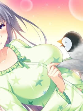 [CandySoft] あねよめコンチェルト Wedding Memories 初回版_HG080411