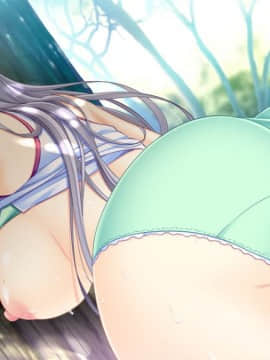 [CandySoft] あねよめコンチェルト Wedding Memories 初回版_HG081003