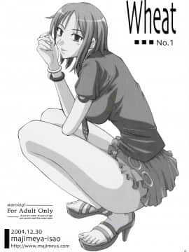 (C67) [真面目屋 (isao)] Wheat No.1 (ワンピース)_001