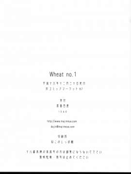 (C67) [真面目屋 (isao)] Wheat No.1 (ワンピース)_028