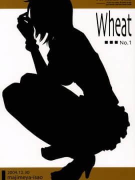 (C67) [真面目屋 (isao)] Wheat No.1 (ワンピース)_029