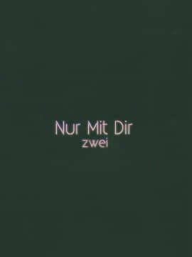 [NT个人汉化] (C96) [銀糖製菓 (玉砂糖)] Nur Mit Dir zwei (少女前線) [中国翻訳]_010
