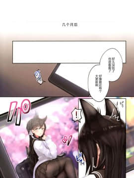 [绅士仓库汉化](C96) [マッパなまった (マッパニナッタ)] 純愛NTR～ログインサボったら嫁が雌犬開発されてた～ (アズールレーン)_05
