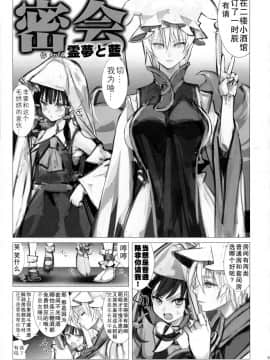 (秋季例大祭4) [狐の杜 (nf4)] 密会 霊夢と藍 (メイデン イン フォックス) (東方Project)  [彷徨水面个人汉化]