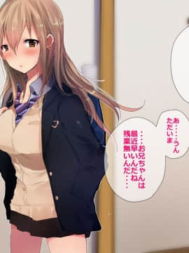 [あむあむタイガー] 妹パコしてオシオキ性教育!お兄ちゃん彼氏とか許しません!_034_a004_011