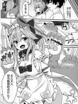 (C96) [とりはむほりっく (山村うみ)] 無防備睡眠タマモキャット (FateGrand Order) [肉包汉化组]_PPP_017