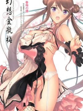 (C94) [T2 ART WORKS (Tony)] Tony MAGAZINE SP 秘録・艶娘幻夢譚 (よろず)_035