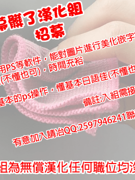 (C88) [Fatalpulse (朝凪)] 画礫20(よろず) [屏幕髒了漢化組&无毒汉化组]_img010