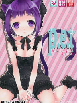 [刷牙子&月影姬 汉化] (COMIC1☆7) [99mg (九重)] p.e.t