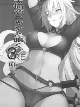 (C96) [IRON GRIMOIRE (SAKULA)] 黒猫がニャンと鳴く。3RE (FateGrand Order)_02