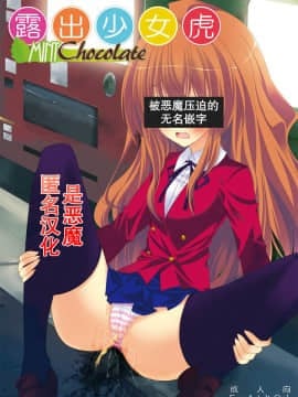 [匿名无名汉化] [ミントチョコレート (氷室光一, Raw)] 露出少女虎 (とらドラ!)
