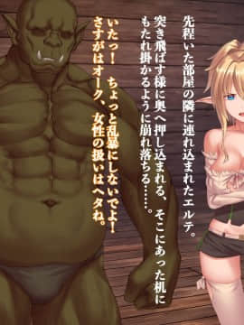 (同人CG集) [デカイ武器はロマン (鉄塊ブレイド)] エルフネトラレ～そして彼女達は溺れゆく～_061_06_002
