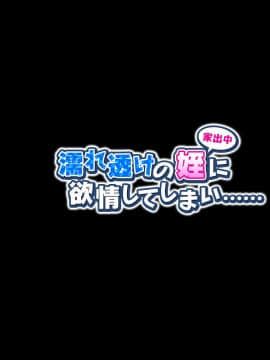 (同人CG集) [ラチマニア共和国 (ヒラル)] 濡れ透けの姪に欲情してしまい……_a008