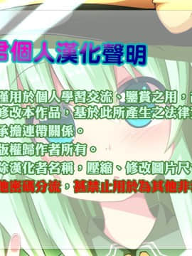 [oo君個人漢化] [いーなむ型 (ザック)] イキまくり八橋ちゃん (東方Project)_34