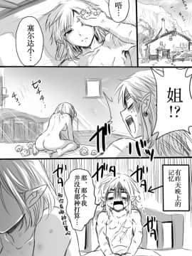 [逃亡者×新桥月白日语社][わさび] 安全で健全なおくすりを飲もう！ (ゼルダの伝説 ブレス オブ ザ ワイルド)_17
