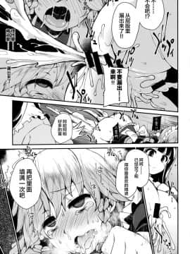 [Lolipoi汉化组] (例大祭14) [IncluDe (ふぅりすと)] Programmed World (東方Project)_25