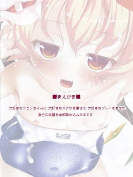 [CE家族社] (C86) [いちお屋 (イチオ)] フランちゃんがを重点的に洗ってくれる本 (東方Project)_03
