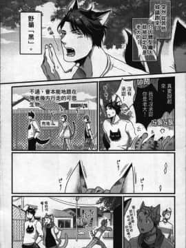 [イクヤス] 発情けもの日和 [中国翻訳]_005