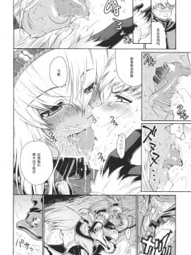 Sunset Glow (Monster Hunter) [Chinese] 【黑条汉化】_08