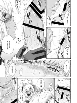 Sunset Glow (Monster Hunter) [Chinese] 【黑条汉化】_11