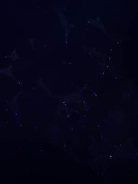 [WAFFLE] 漫喫ハプニング_songxs_cg_001_007_100