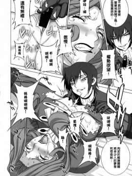 [下面有只羊个人汉化] (C75) [もっちー王国 (もっちー)] 罪と罰 (コードギアス 反逆のルルーシュ) [中国翻訳]_0019