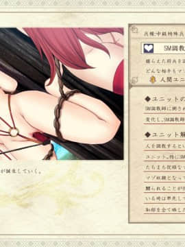 [妄想Caution] 妄想スレイブレム-HユニットCG集-_040_040