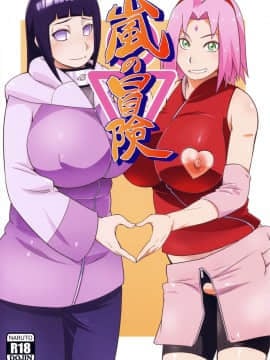 [罗洁爱儿个人机翻] (C94) [からきし傭兵団 真雅 (砂原渉)] 嵐の冒険 (NARUTO)