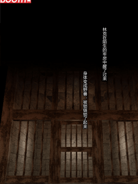 [超能汉化组] [KAWAZOKO (菊にぃ)] トワイライトビッチ (ゼルダの伝説)_04