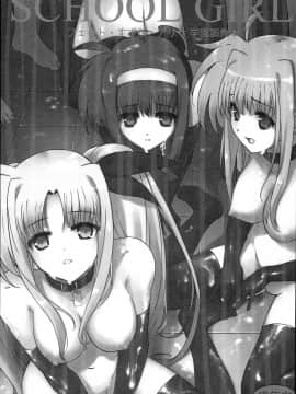 (C93) [バス停シャワー (桂井よしあき)] SICOSICO COLLECTION 01 (魔法少女リリカルなのは)_0034