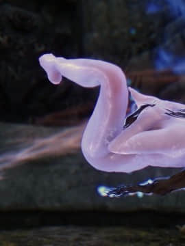 [3D]罗丝琳传奇 1-9_0845