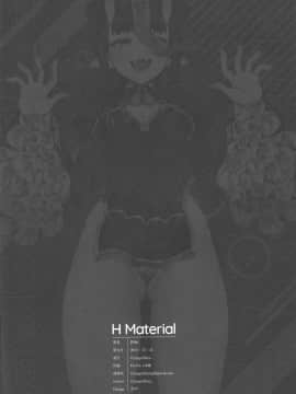 H Material_021