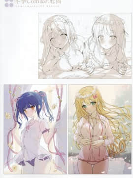 [兔司姬漢化組] (コミティア130) [TwinBox (花花捲、草草饅)]Twinbooks 13_10_35