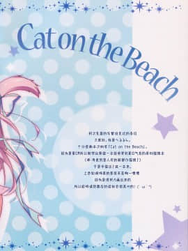 [脸肿汉化组] (C88) [LOOPTHELOOP! (へるるん)] Cat on the Beach_002