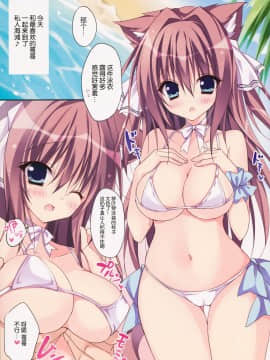 [脸肿汉化组] (C88) [LOOPTHELOOP! (へるるん)] Cat on the Beach_005