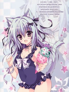 [脸肿汉化组] (C88) [LOOPTHELOOP! (へるるん)] Cat on the Beach_017