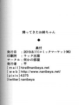 [脸肿汉化组] (C96) [何かの部屋 (平)] 帰ってきたお姉ちゃん_025