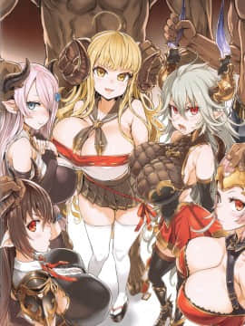[不咕鸟汉化组] [Incomplete] (C97) [Fatalpulse (朝凪)] BOTTOM of the SKY (グランブルーファンタジー) [中国翻訳] [ページ欠落]_09_a_9