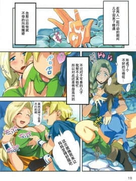 [臭鼬佬个人汉化002] (C86) [VOLVOX (キザキ チリマ オポコム)] ならずものの宴 (ドラゴンクエスト)_19