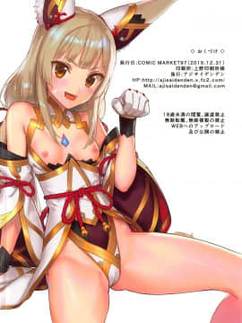 (C97) [アジサイデンデン (川上六角、小鳥遊レイ)] ニアのおしりで癒され本 (ゼノブレイド2)_17