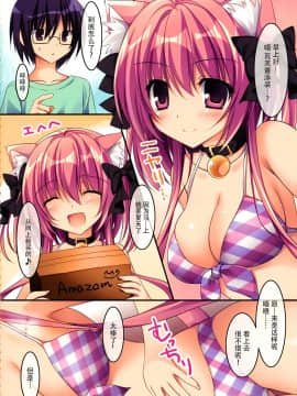 [脸肿汉化组] (C91) [祭社 (ななろば華)] 健気猫娘湯上がりえっち編ぷらす_11