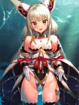 (C97) [アジサイデンデン (川上六角、小鳥遊レイ)] ニアのおしりで癒され本 (ゼノブレイド2) [zZzZ個人漢化]_002