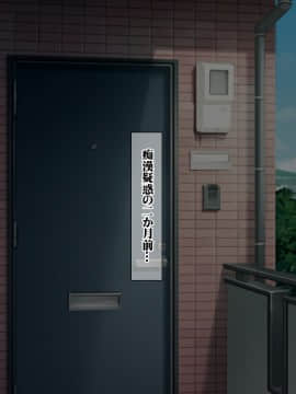 (同人CG集) [ナカノブリッツ] 復讐の孕ませ催眠 絶対服従生ハメ中出し強制種付け_125_124