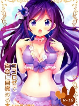 [EZR個人漢化] (C96) [vivid_dot (七草天音)] ココロゼで百合に目覚める本 (ご注文はうさぎですか？)