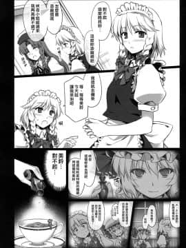 [赤銀漢化組] (C80) [しもやけ堂 (逢魔刻壱)] 紅魔めーさく劇場 | 紅魔美咲劇場 (東方Project)_11