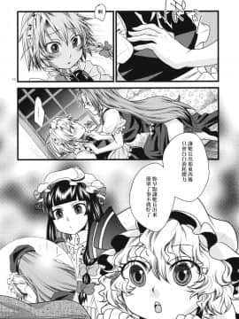 [赤銀漢化組] (C79) [ジッパリスト (江口)] ふたなり紅魔館 | 扶她紅魔館 (東方Project)_17