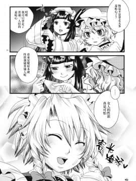 [赤銀漢化組] (C79) [ジッパリスト (江口)] ふたなり紅魔館 | 扶她紅魔館 (東方Project)_25