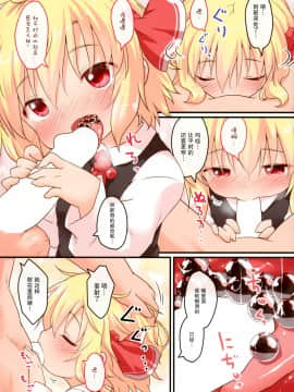 [脸肿汉化组] (C96) [がいなもん (夏の紅茶)] 日常性活 -六- (東方Project)_05